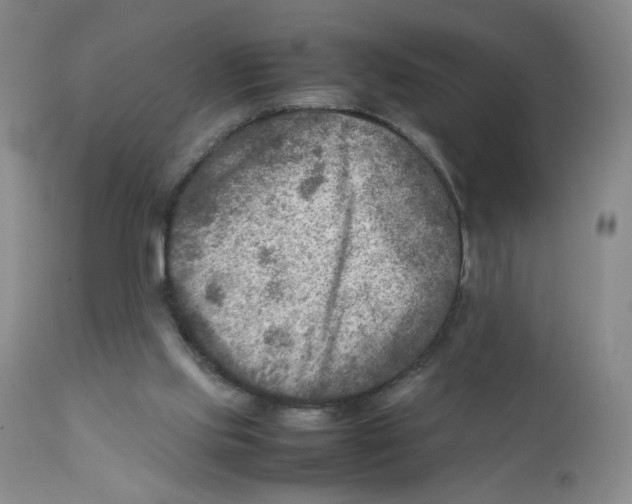 X0000111900061200908241013