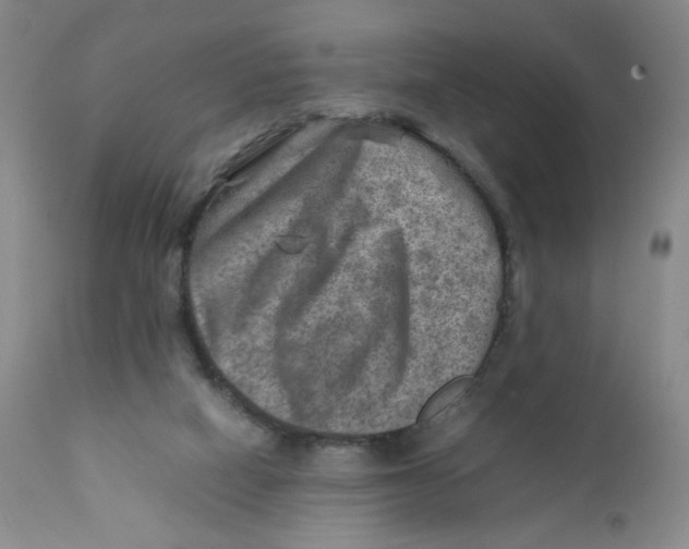 X0000111900066200908241013