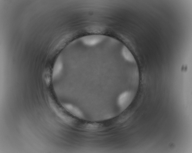 X0000111900069200908241013