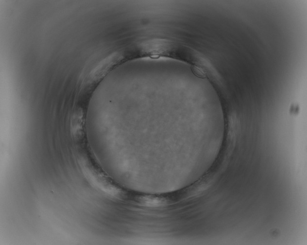 X0000111900073200908241013