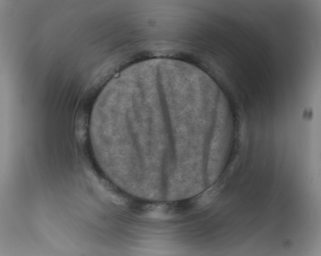 X0000111900074200908241013