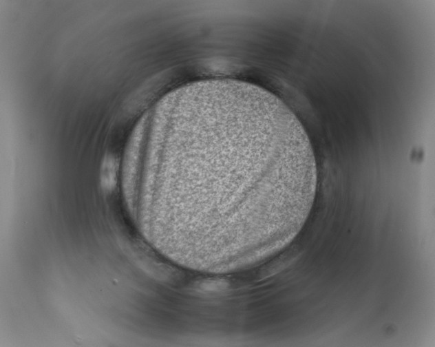 X0000111900075200908241013