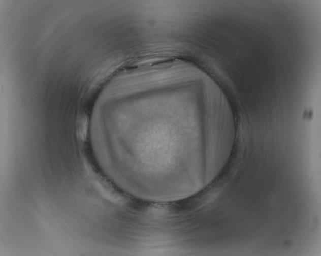 X0000111900076200908241013