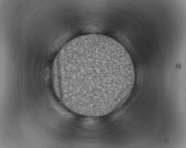 X0000111900077200908241013