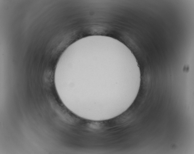 X0000111900079200908241013