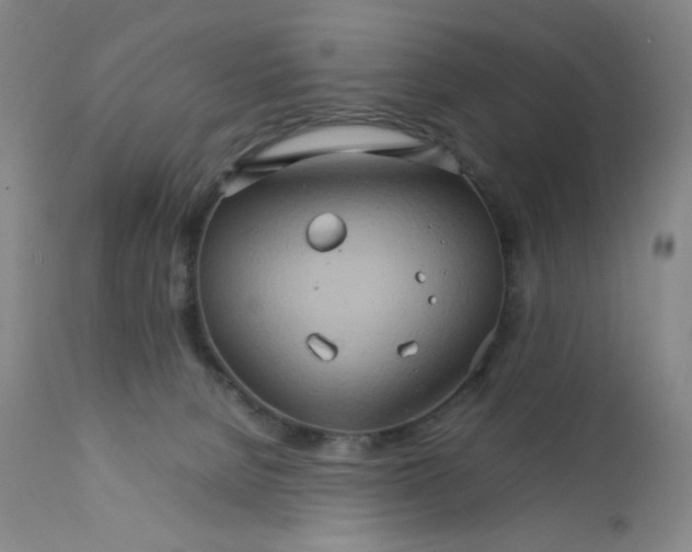 X0000111900080200908241013