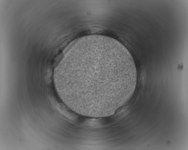 X0000111900082200908241013