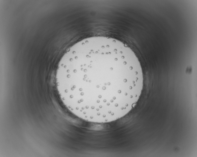 X0000111900083200908241013