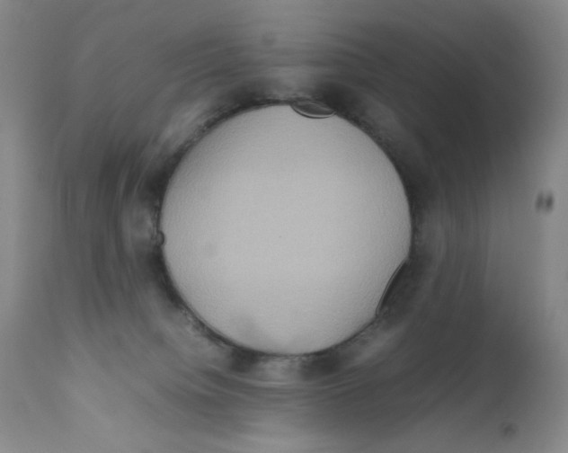 X0000111900084200908241013