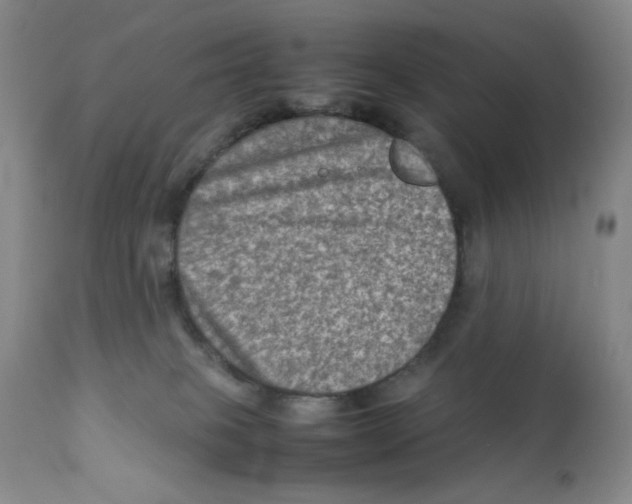 X0000111900085200908241013