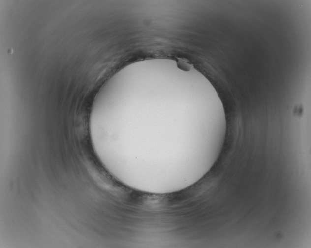 X0000111900088200908241013