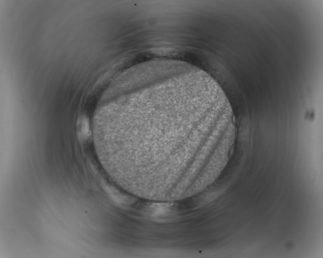 X0000111900089200908241013