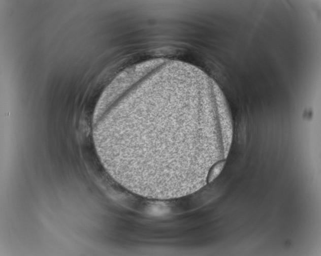 X0000111900091200908241013