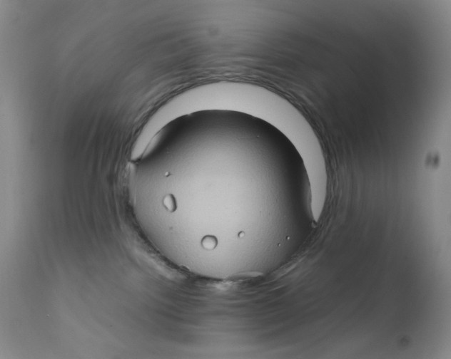 X0000111900092200908241013