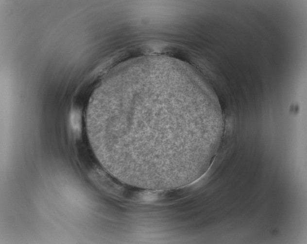 X0000111900094200908241013