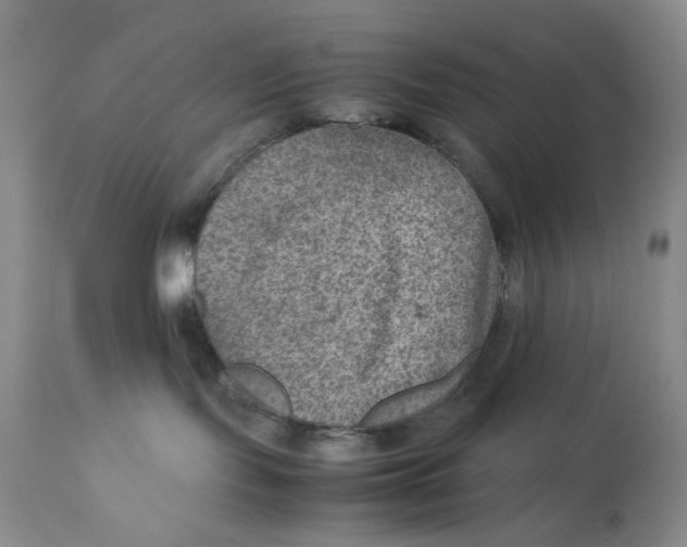 X0000111900095200908241013