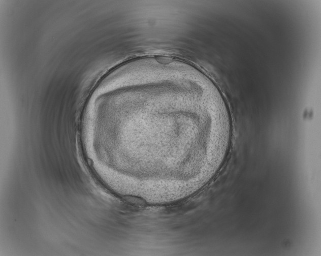 X0000111900097200908241012