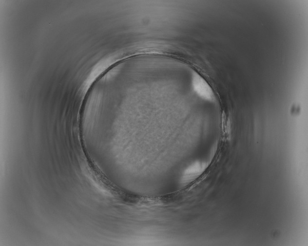 X0000111900099200908241012