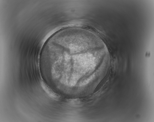 X0000111900100200908241012