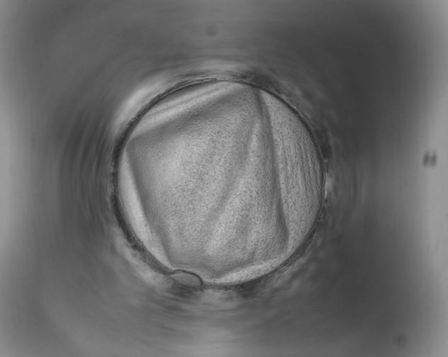 X0000111900101200908241012