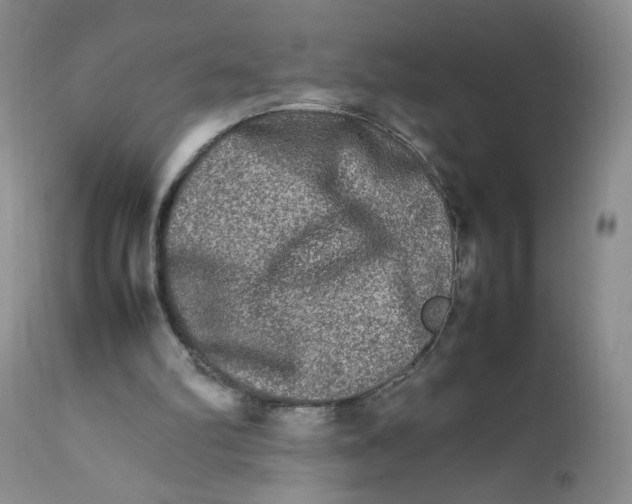 X0000111900102200908241012