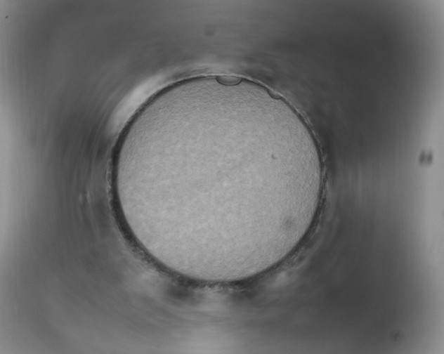 X0000111900103200908241012