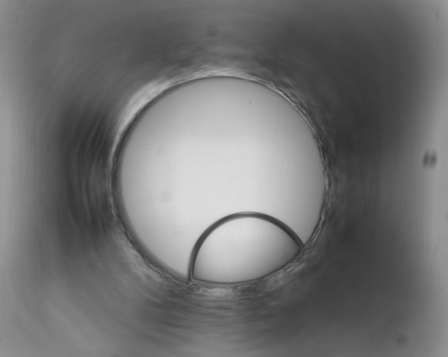 X0000111900104200908241012