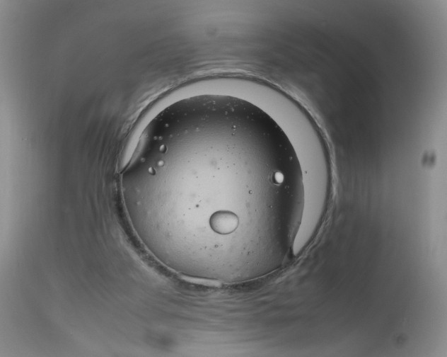 X0000111900105200908241012