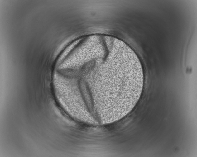 X0000111900107200908241012