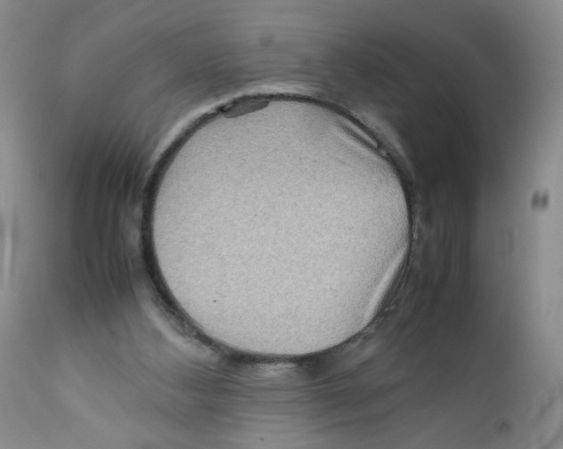 X0000111900108200908241012