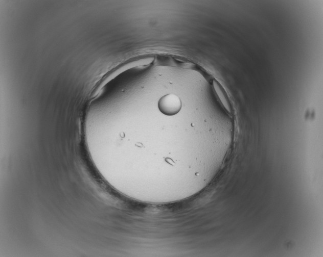 X0000111900109200908241012