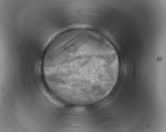 X0000111900110200908241012