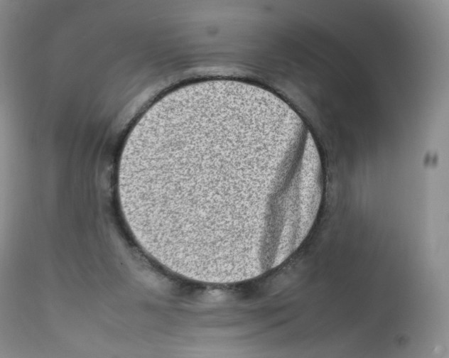 X0000111900111200908241012