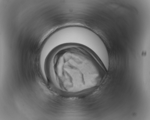 X0000111900112200908241012