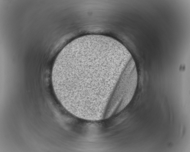 X0000111900115200908241012