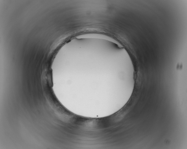 X0000111900116200908241012