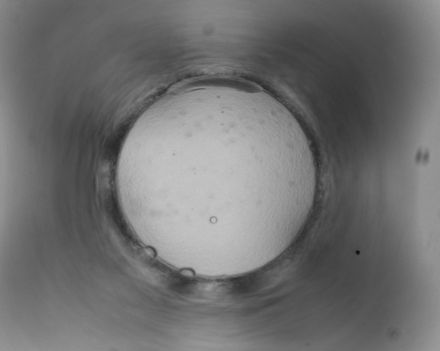 X0000111900117200908241012