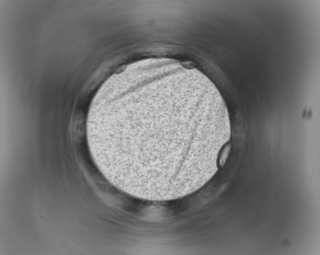 X0000111900119200908241012