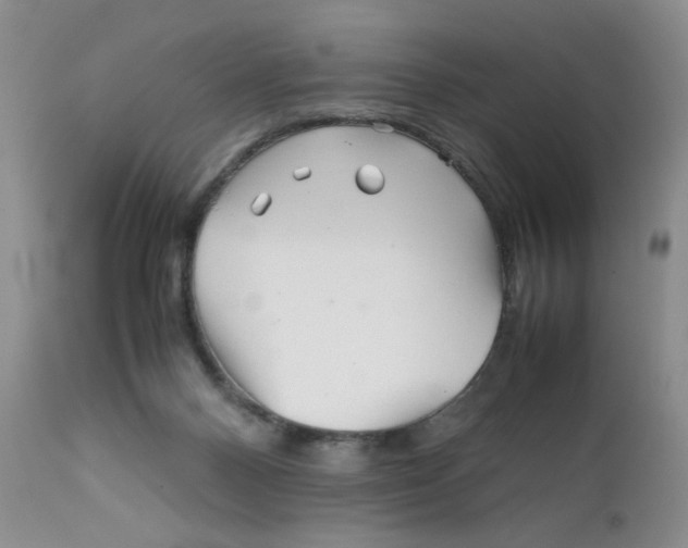 X0000111900120200908241012