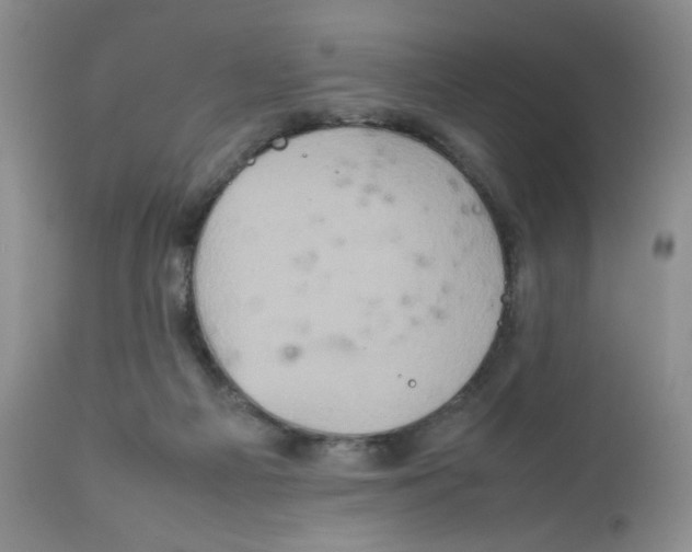 X0000111900121200908241012