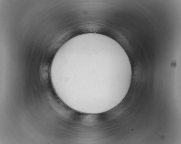 X0000111900122200908241012