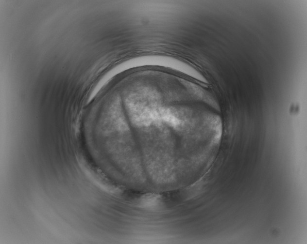 X0000111900124200908241012