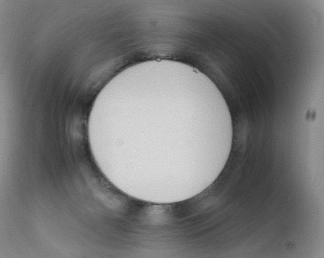 X0000111900126200908241012