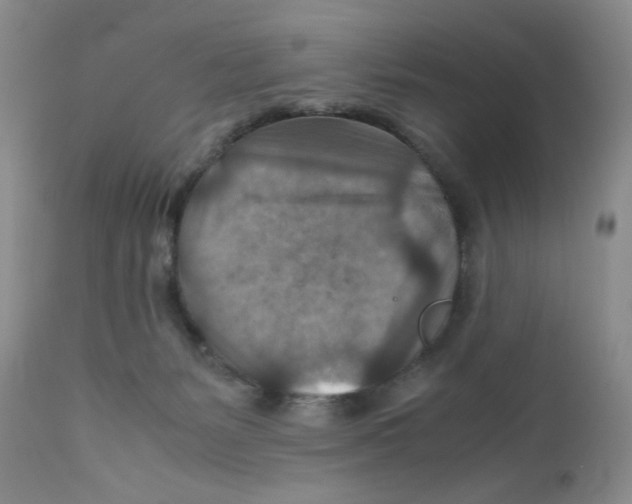 X0000111900127200908241012