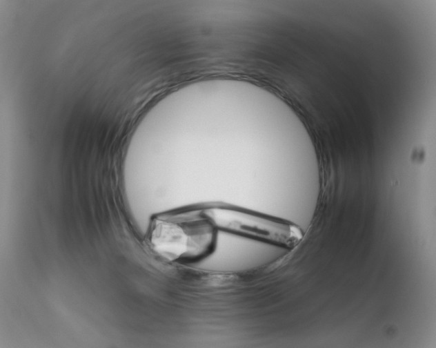 X0000111900128200908241012