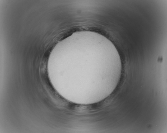 X0000111900129200908241012