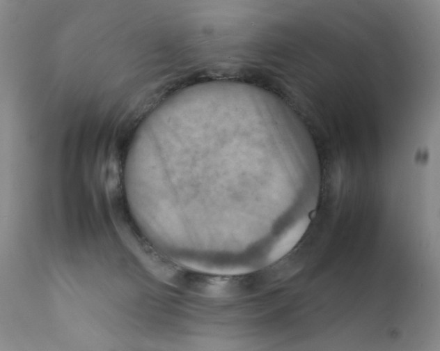 X0000111900130200908241012