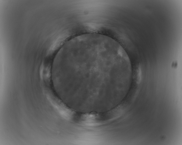 X0000111900131200908241012