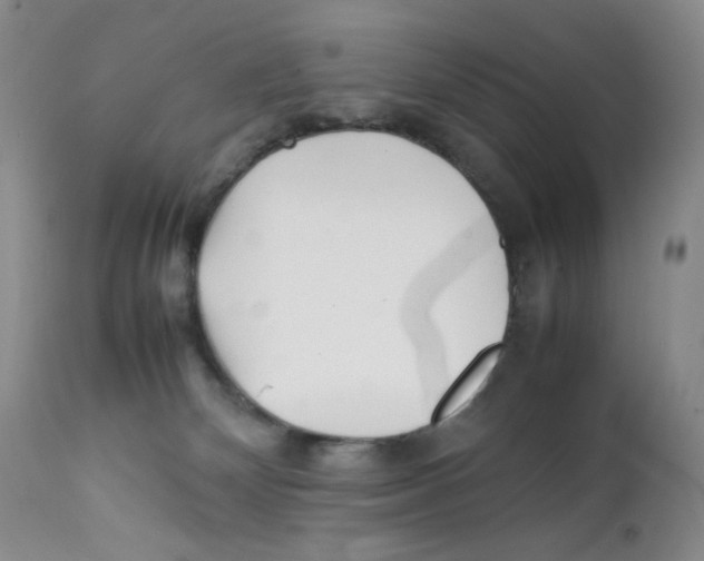 X0000111900132200908241012