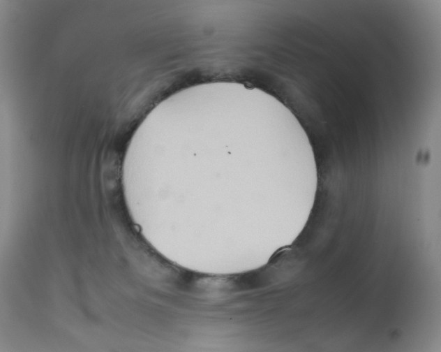 X0000111900133200908241012